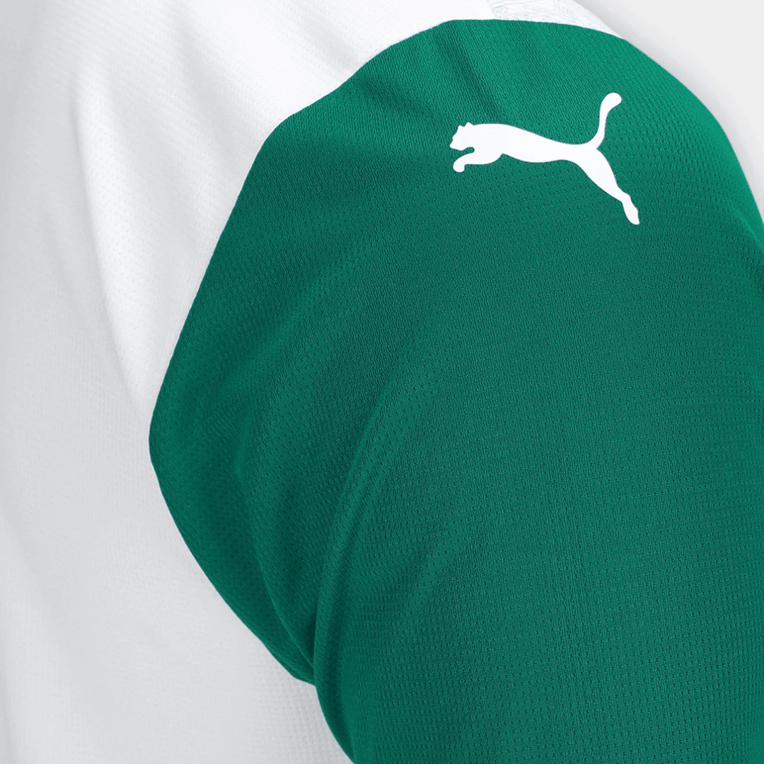 CamisaPalmeirasAway2526_1.png
