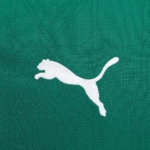 CamisaPalmeirasAway2526_2_fcf3f1ea-0a2f-4edf-b624-b2b3dd0766ee.png