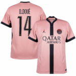 Paris Saint-Germain Jordan Third Fan Jersey 2024/25