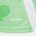 jersey-italy-woman-25-26-away-green-camisas-de-time-676.jpg